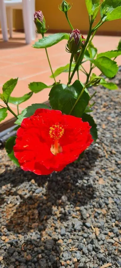 Casa Mari Y Jose Con Grandes Piscinas Y Wifi Gratis Apartment Corralejo 0*,
